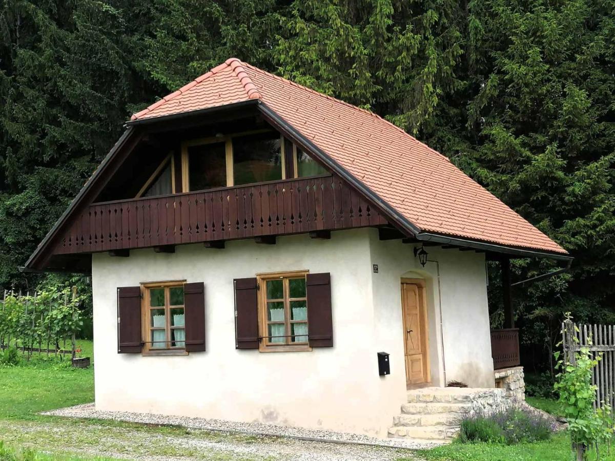 Holiday House Apartment Voukov Mlin Smarje pri Jelsah Esterno foto
