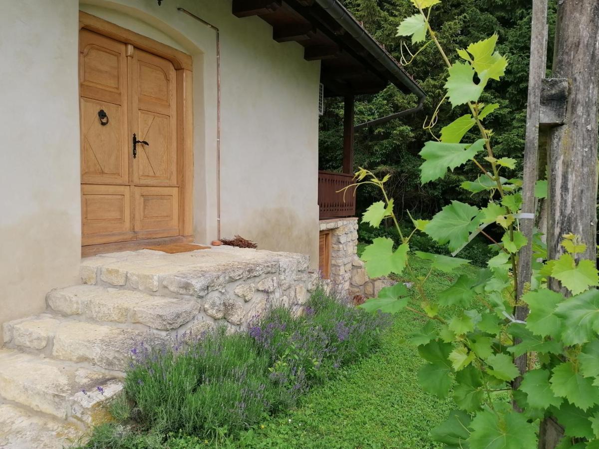 Holiday House Apartment Voukov Mlin Smarje pri Jelsah Esterno foto