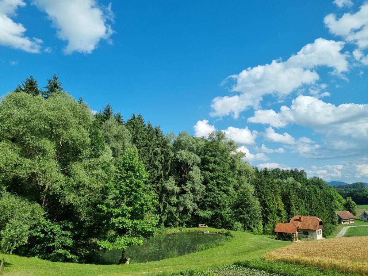 Holiday House Apartment Voukov Mlin Smarje pri Jelsah Esterno foto